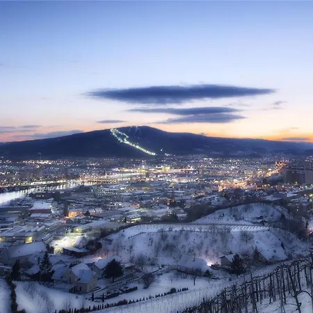 Stara Lipa Tasner Free Kitchen&garage&parking-self Check In Maribor